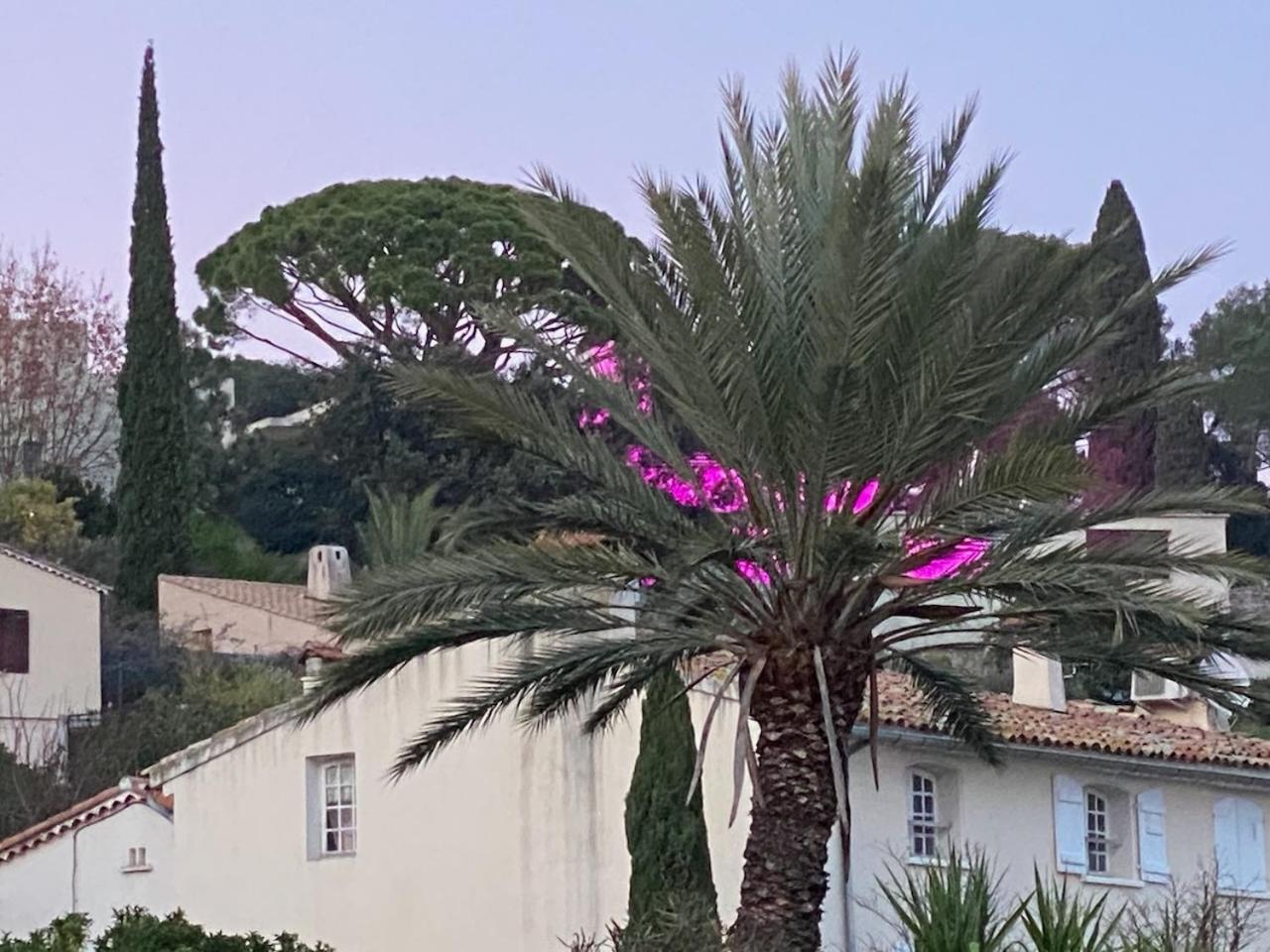 La Suite Sainte Claire Hyères Esterno foto